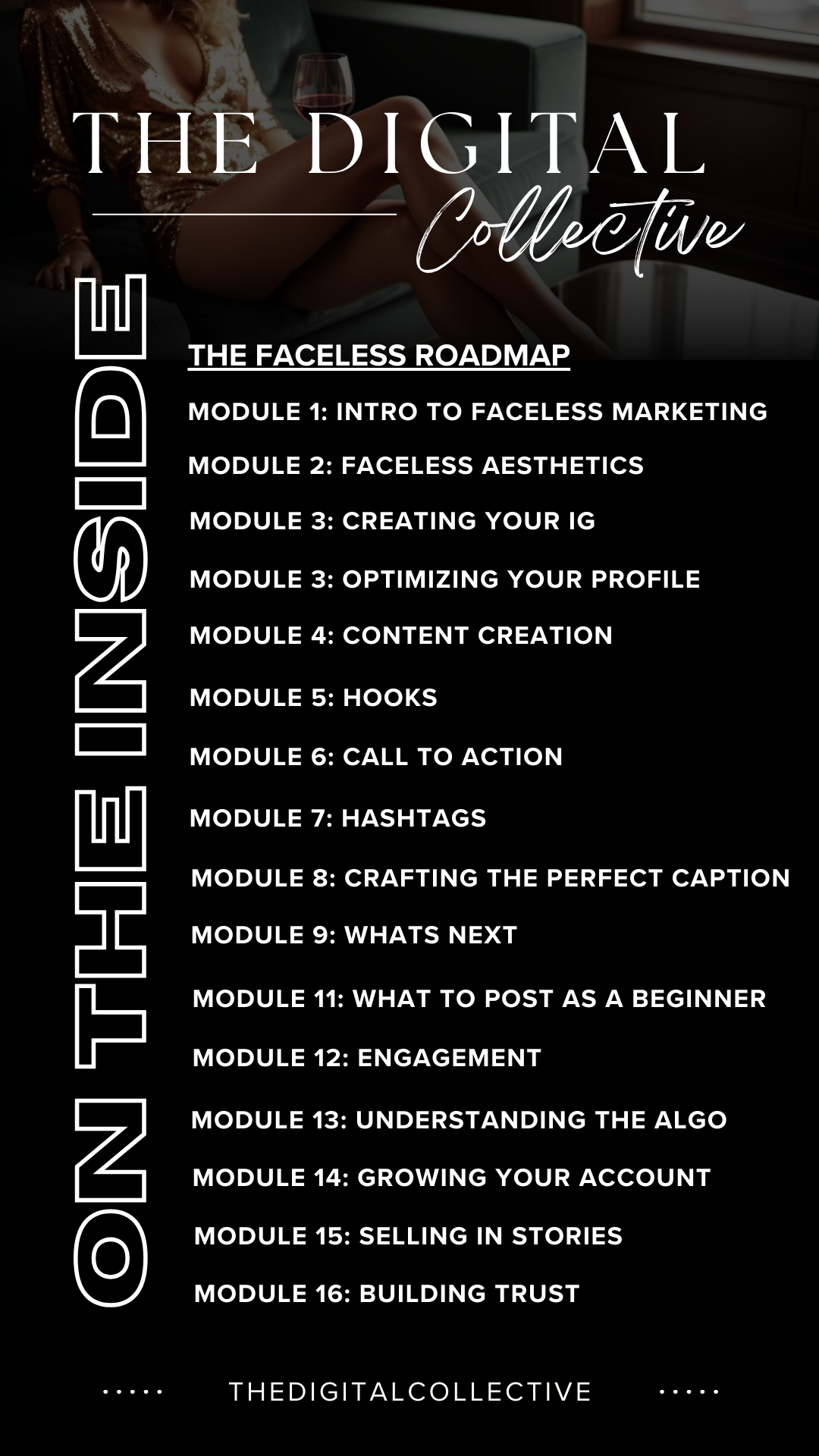 faceless roadmap simply digital course modules what is inside