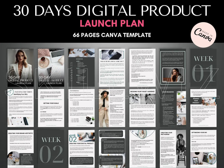 30 Day Digital Product Launch Plan With Mrr & Plr