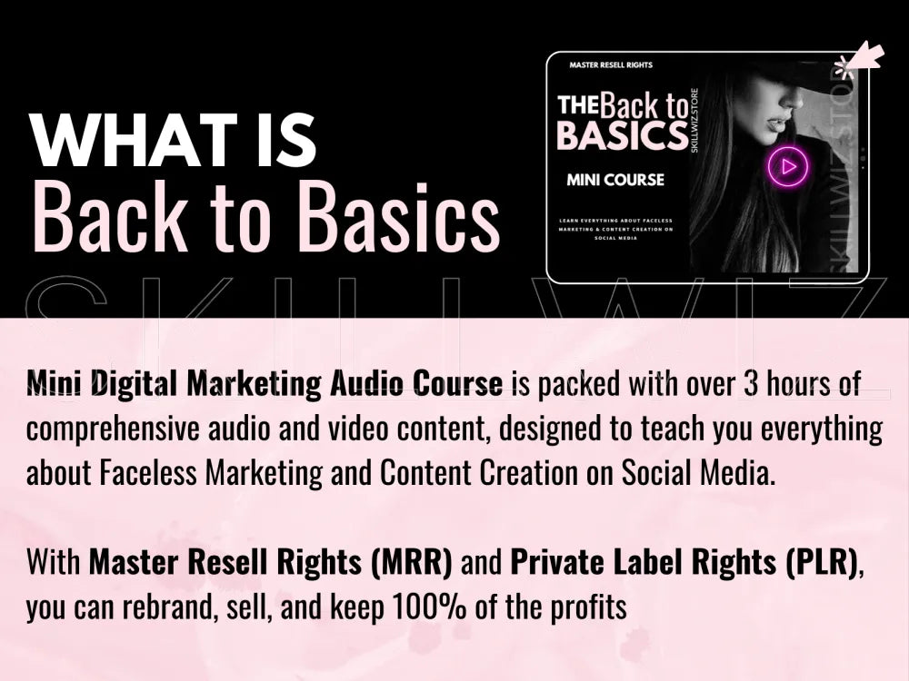 Back To Basics Mini Digital Marketing Course Mrr/Plr