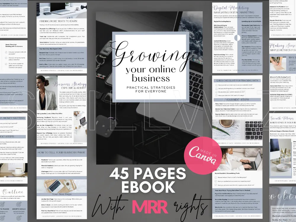 Growing Your Online Business From Scratch With Mrr & Plr