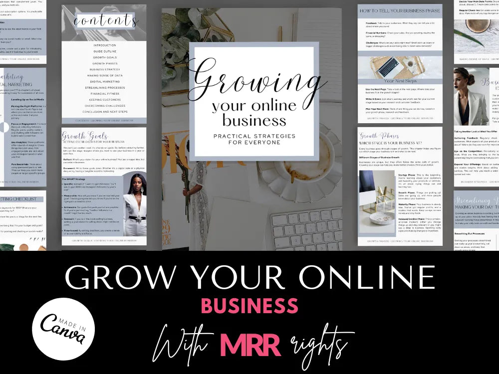 Growing Your Online Business From Scratch With Mrr & Plr