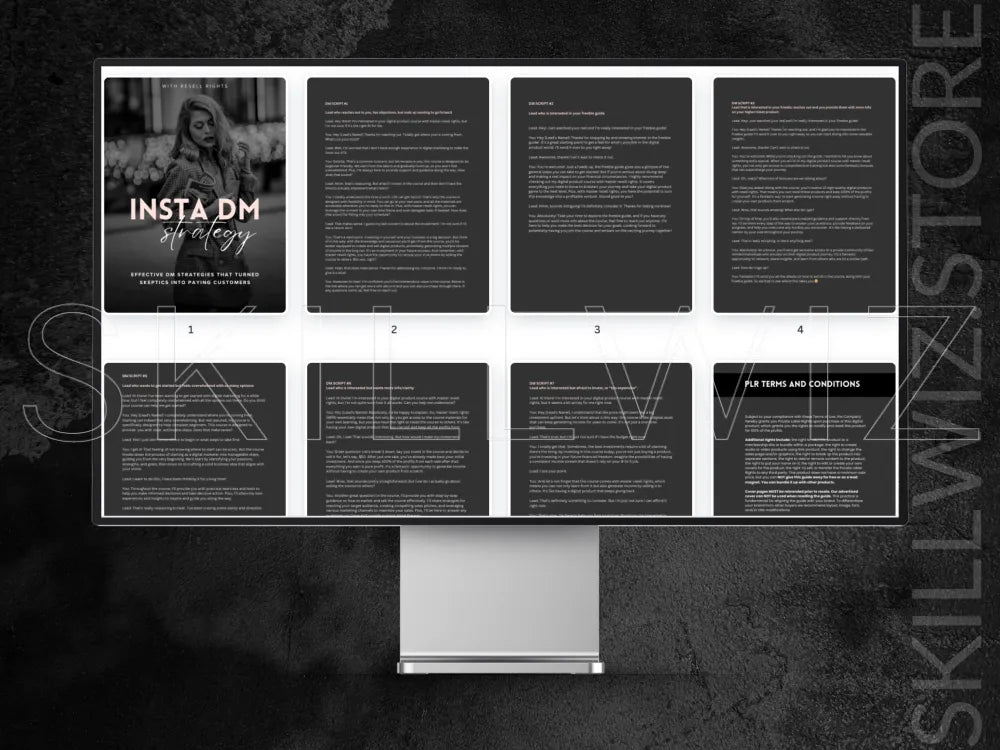 Insta Dm Strategy To Generate Leads And Sales With Mrr/Plr
