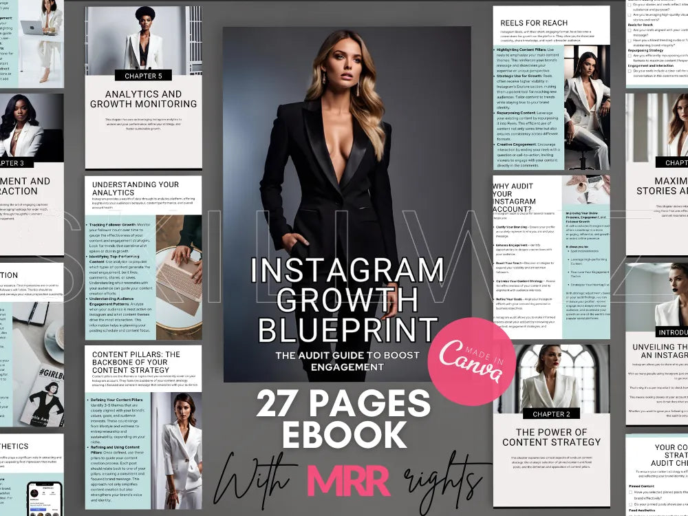 Instagram Growth Blueprint & Audit With Mrr Plr