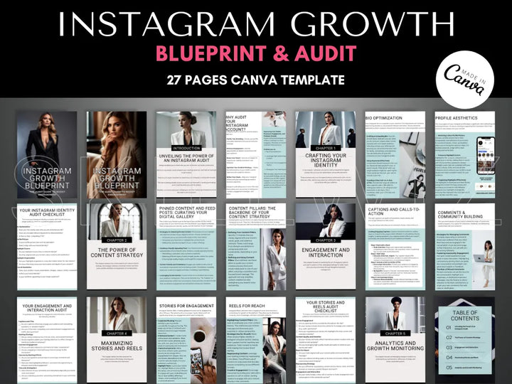 Instagram Growth Blueprint & Audit With Mrr Plr