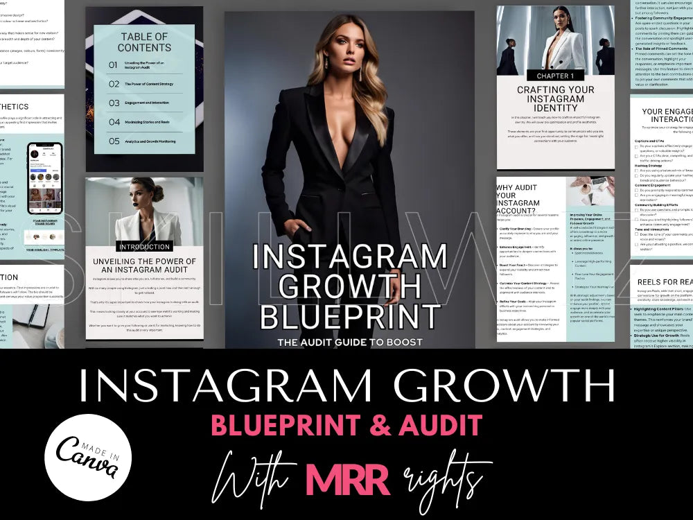 Instagram Growth Blueprint & Audit With Mrr Plr