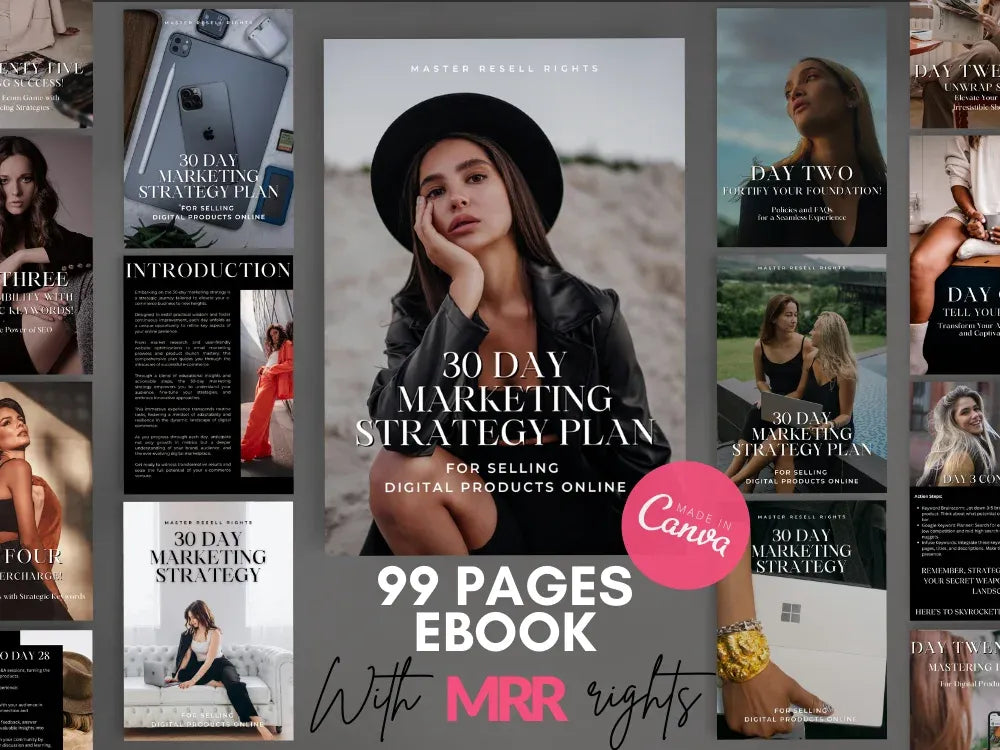 Marketing Strategy Plan for 30 days with MRR & PLR