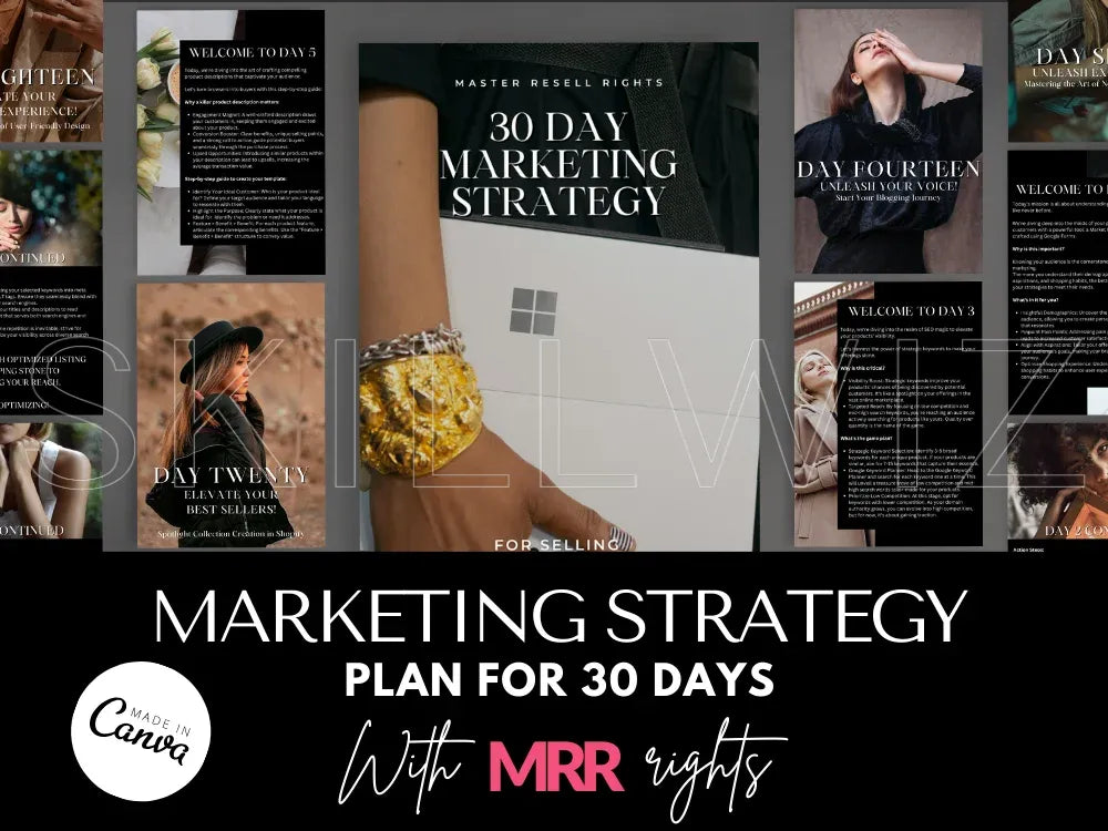 Marketing Strategy Plan for 30 days with MRR & PLR