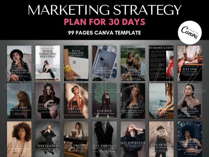 Marketing Strategy Plan for 30 days with MRR & PLR