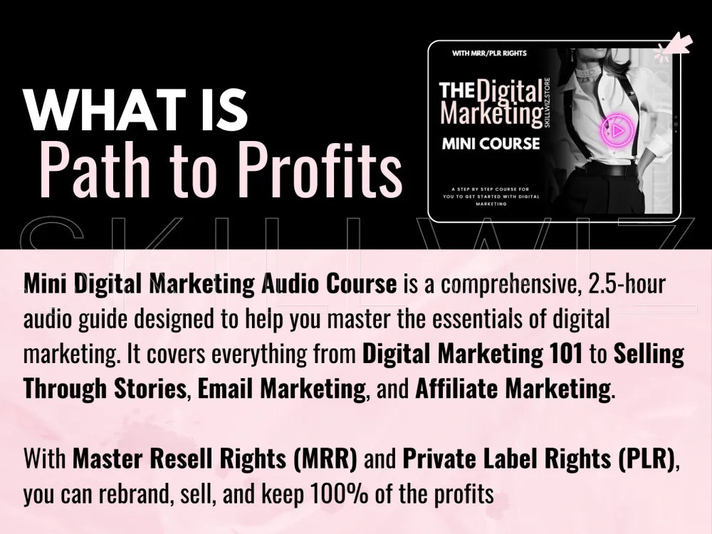 Path To Profits - Mini Digital Marketing Audio Course Mrr/Plr