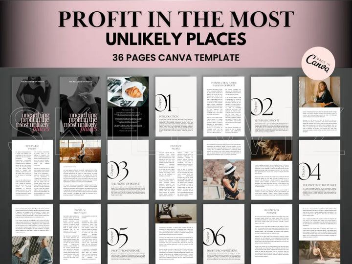 Profit In The Most Unlikely Places Ebook With Mrr/Plr